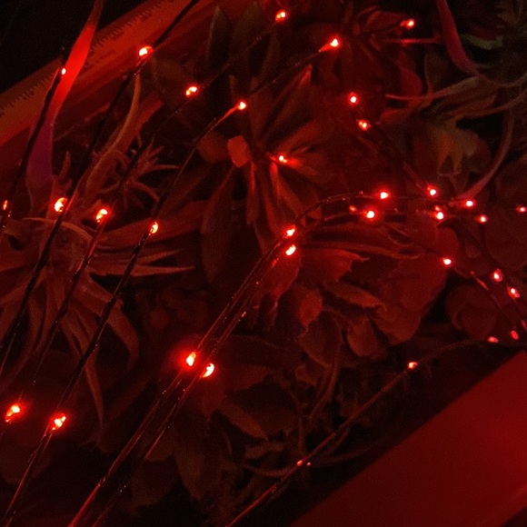 Pottery Barn LED Lit Firework Cascade Branch in Bright Red with Timer - Picture 11 of 17